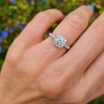 Anillo De Compromiso Halo Cojín