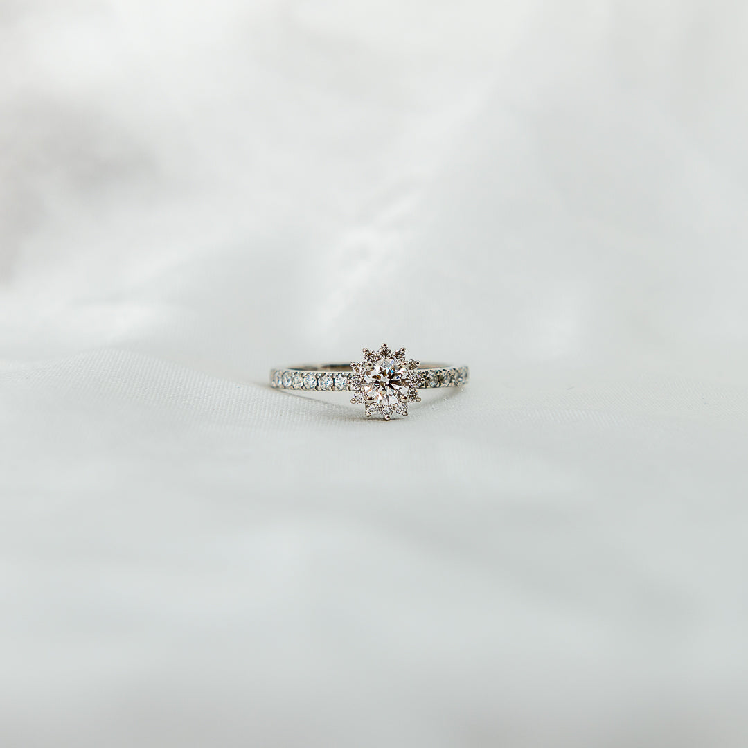 Anillo de compromiso Halo Sparkle