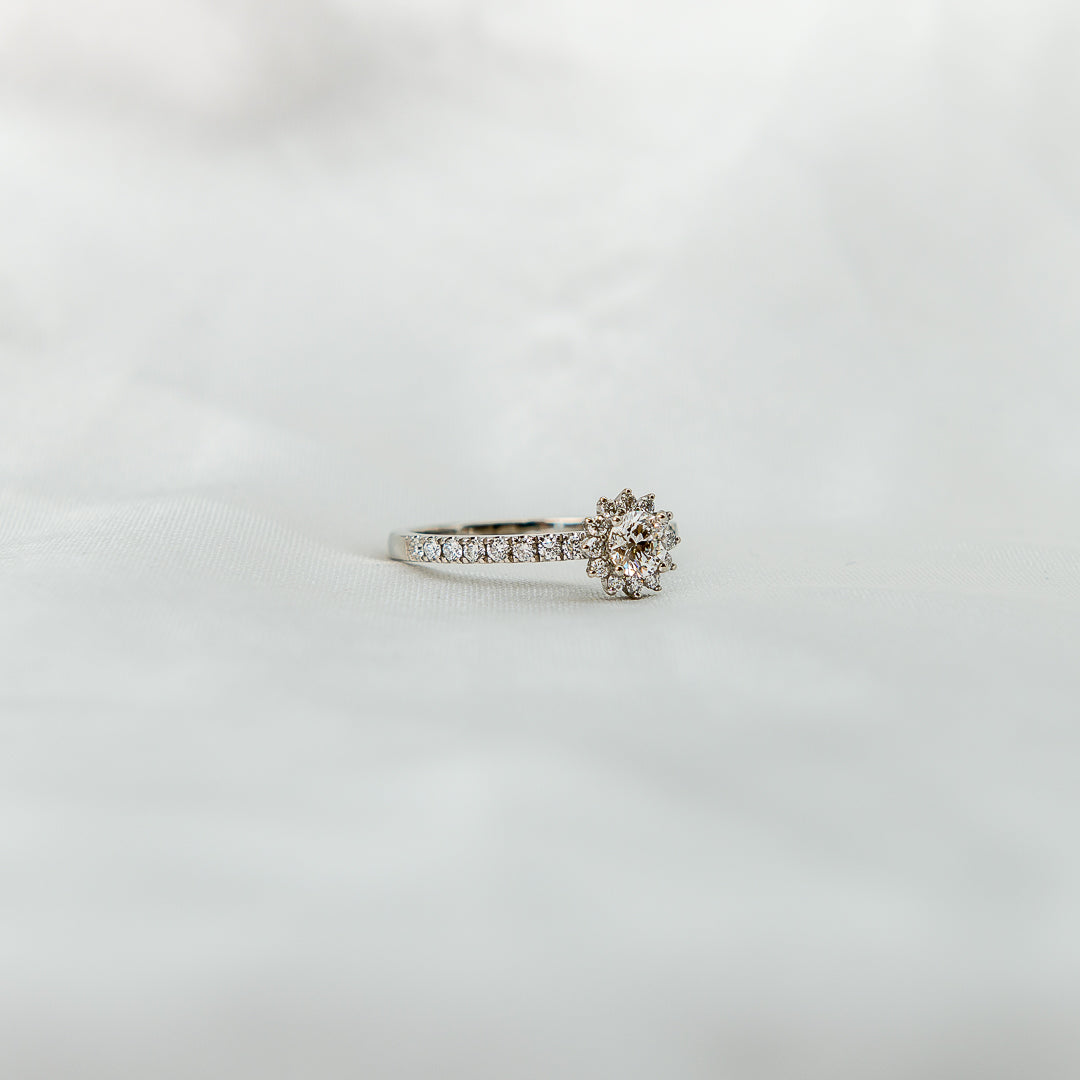 Anillo de compromiso Halo Sparkle