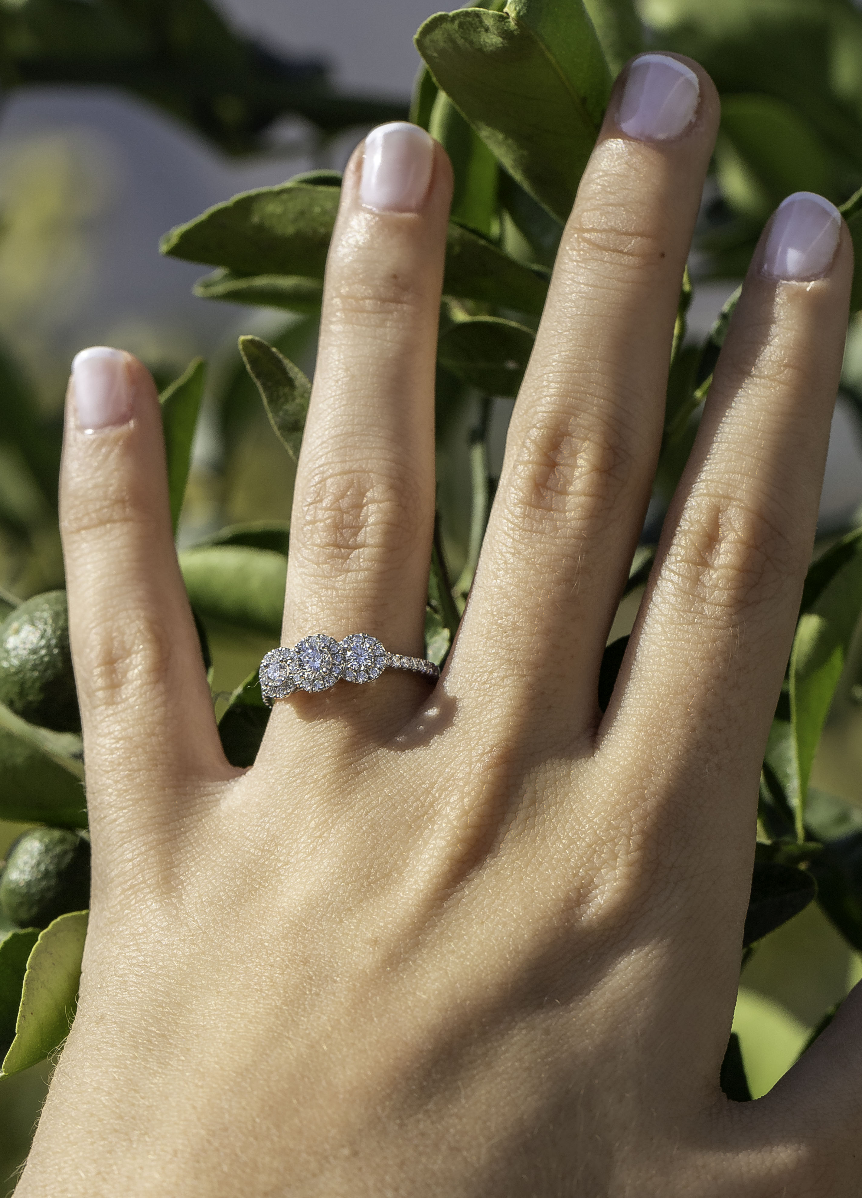 Anillo de Compromiso Diamantes Tres Piedras y Tres Halos