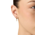 Aros Elegantes de Oro Amarillo 14K con Circonita