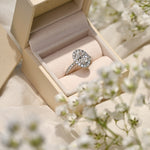 Anillo de Compromiso Halo Oval