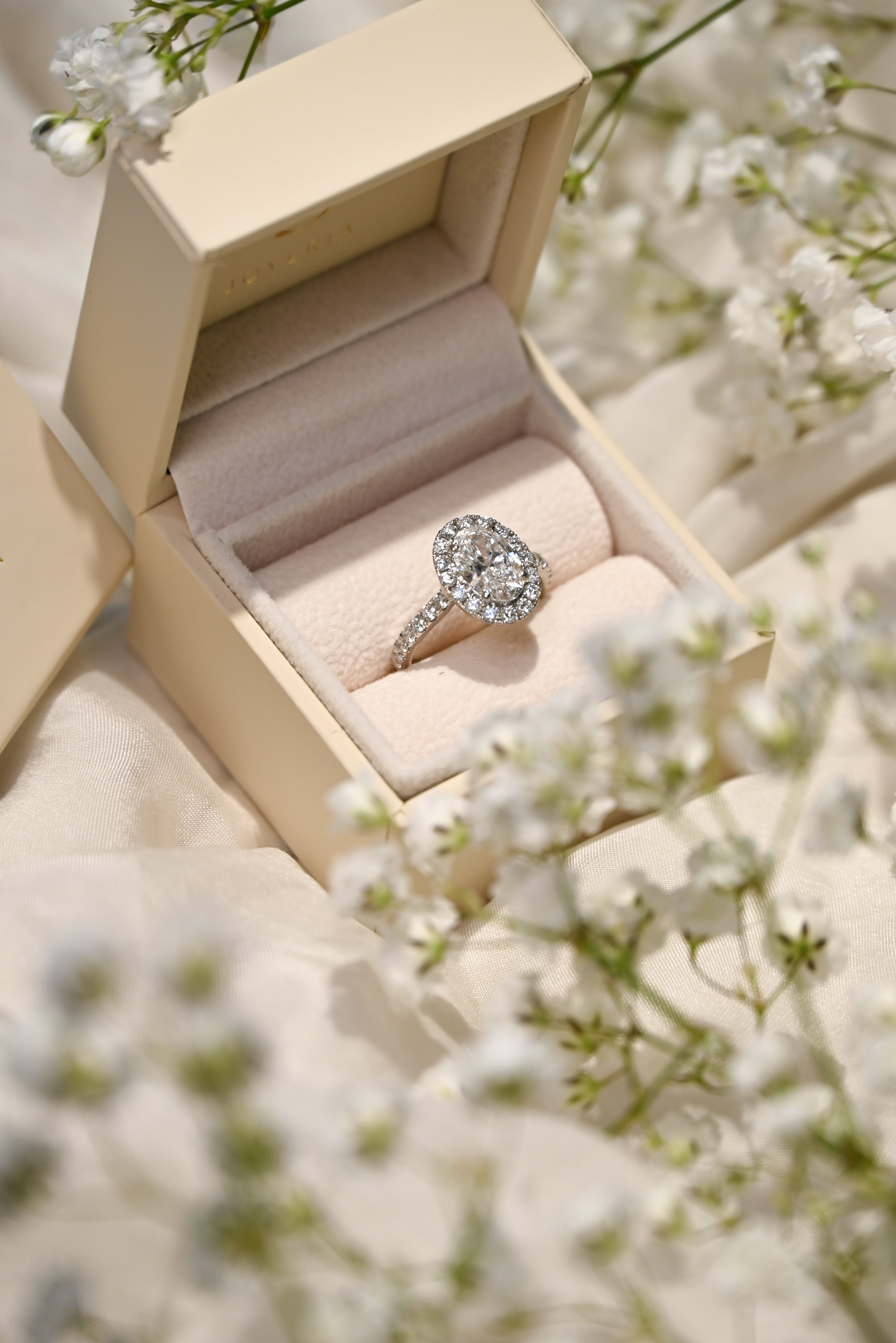 Anillo de Compromiso Halo Oval