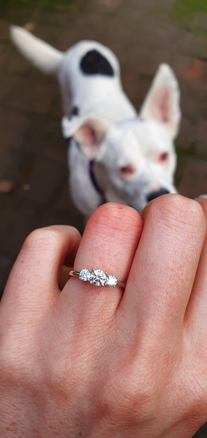 Anillo de Compromiso Moissanite Tres Piedras Cross