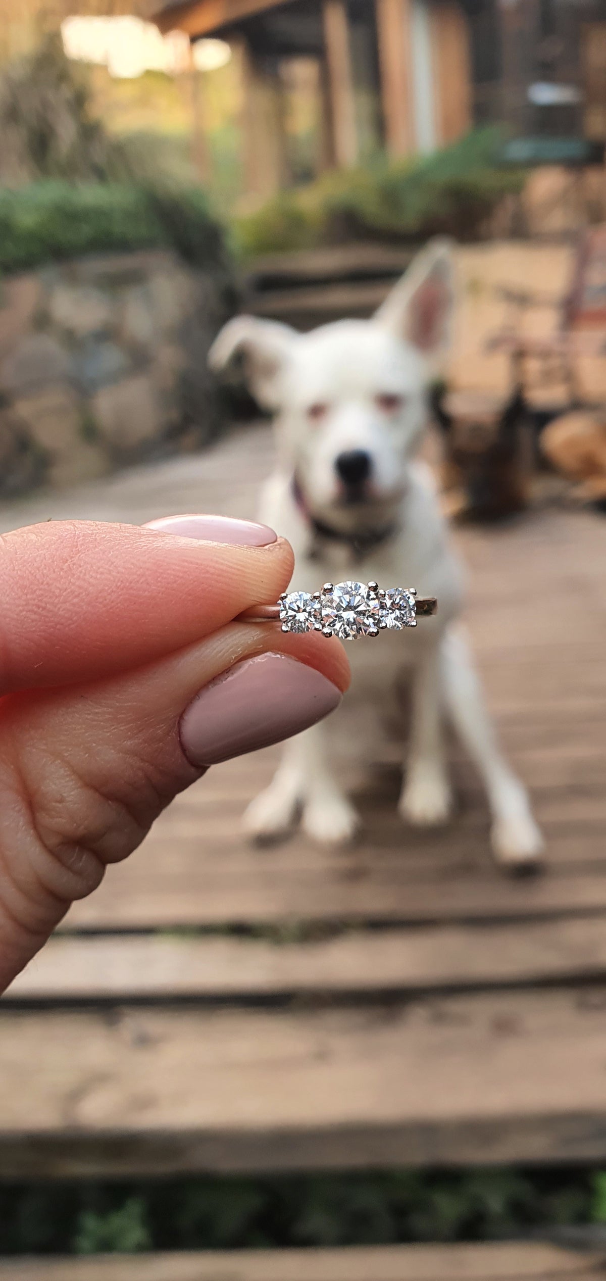 Anillo de Compromiso de Diamantes Tres Piedras Cross